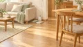 daily-cleaning-20261013
